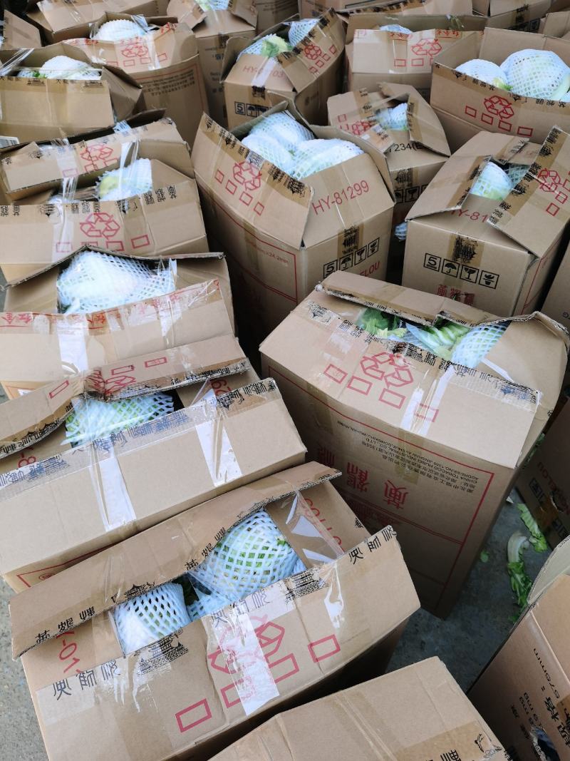 精品实花大量走货中，发货周期长，提供精品市场及加工厂货