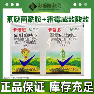 卡诺滋组合卡普多氟醚菌酰胺+霜霉威盐酸盐黄瓜霜霉病
