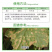 卡诺滋组合卡普多氟醚菌酰胺+霜霉威盐酸盐黄瓜霜霉病