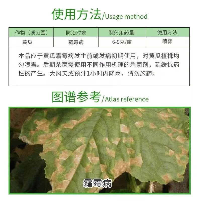 卡诺滋组合卡普多氟醚菌酰胺+霜霉威盐酸盐黄瓜霜霉病