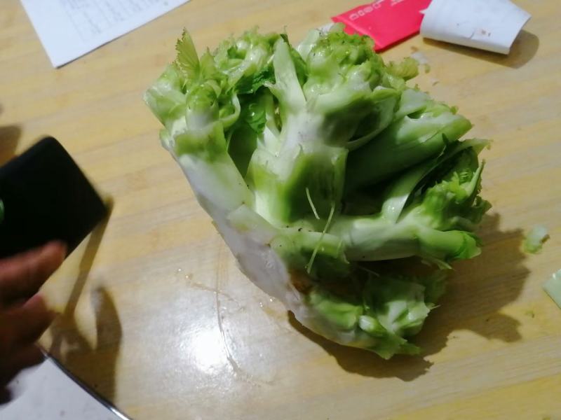 儿子菜