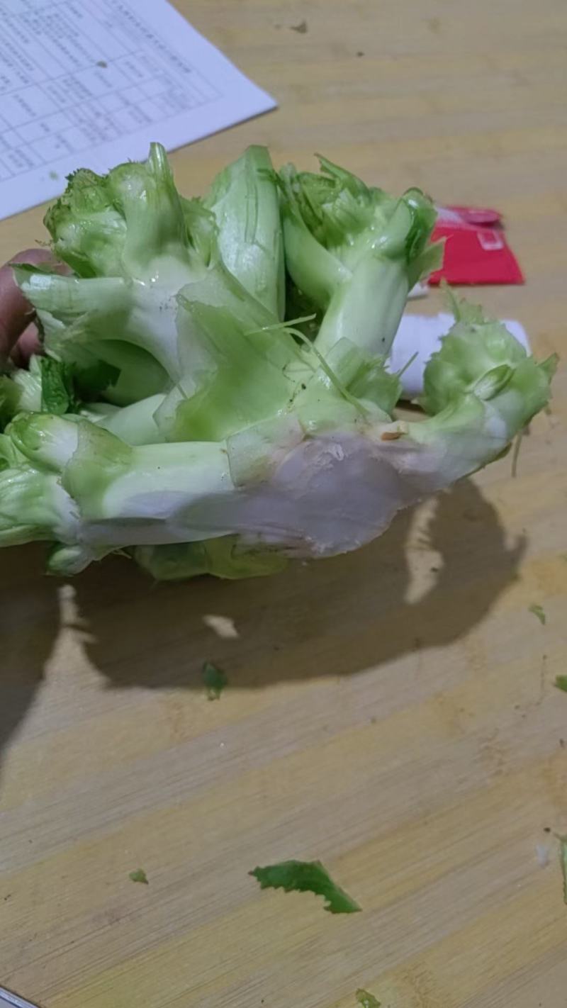 儿子菜