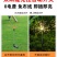 太阳草坪灯蒲公英烟花灯地插高化防水户外庭院别聖装饰灯