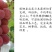 正宗妮娜皇后贝达根嫁接葡萄苗1年30公分高