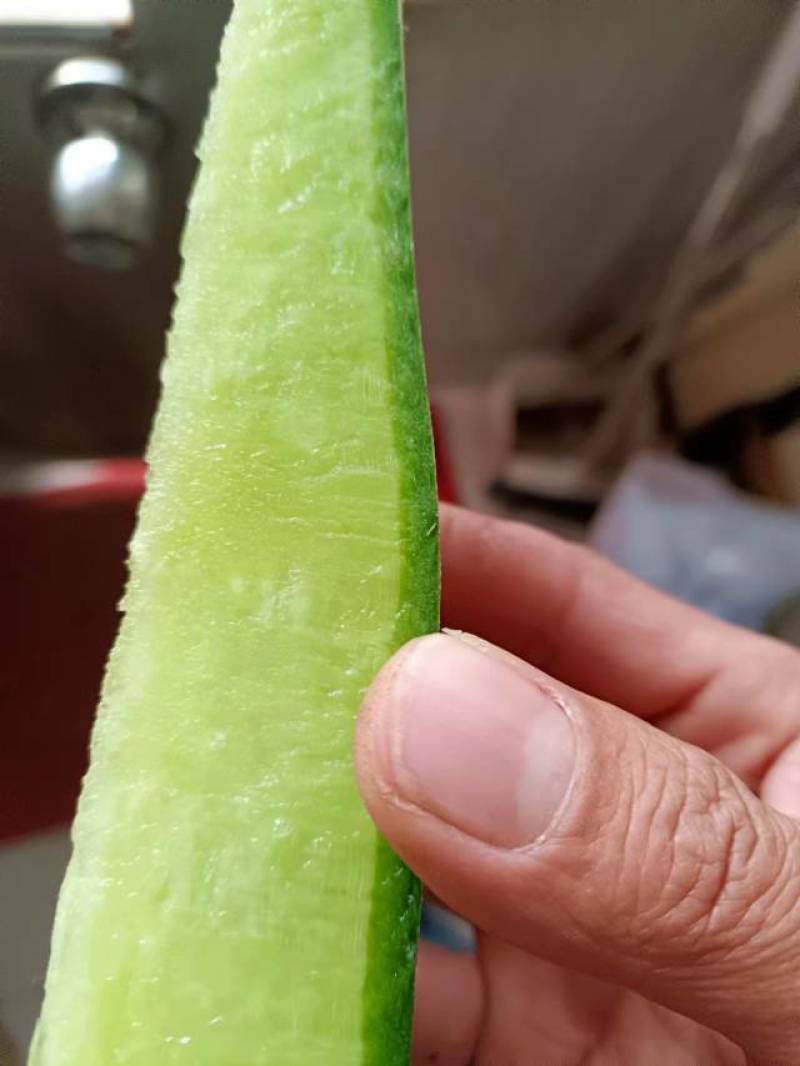 潍坊固堤瓜茬萝卜产地直发一手货源量大优惠