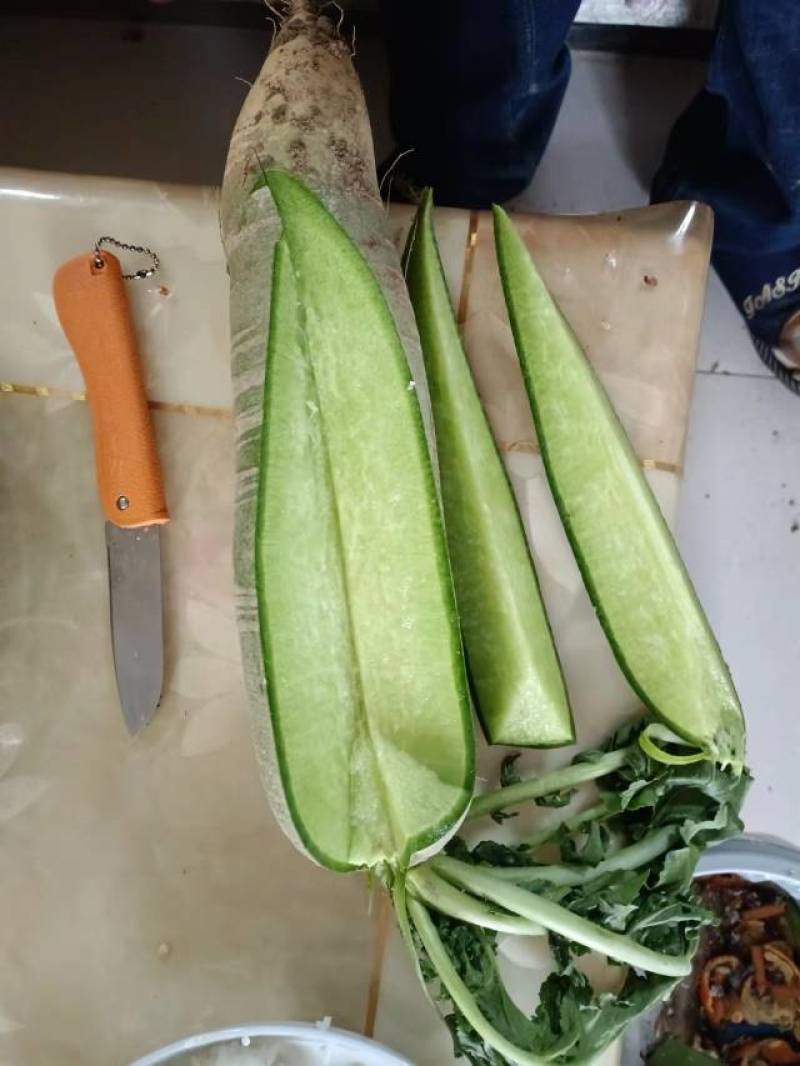 潍坊固堤瓜茬萝卜产地直发一手货源量大优惠