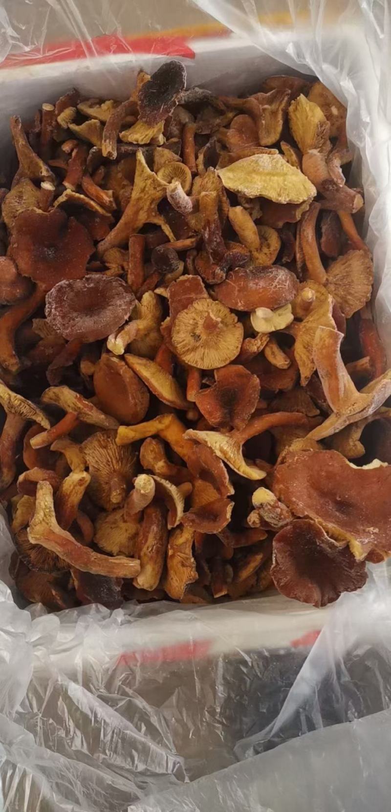 食用速冻奶浆菌