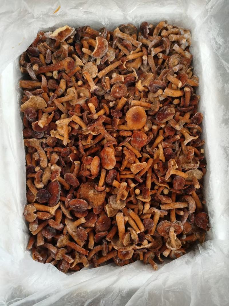 食用速冻奶浆菌