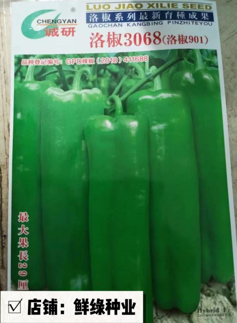 洛椒3068（洛椒901）果型光滑顺直，结果稠密集中