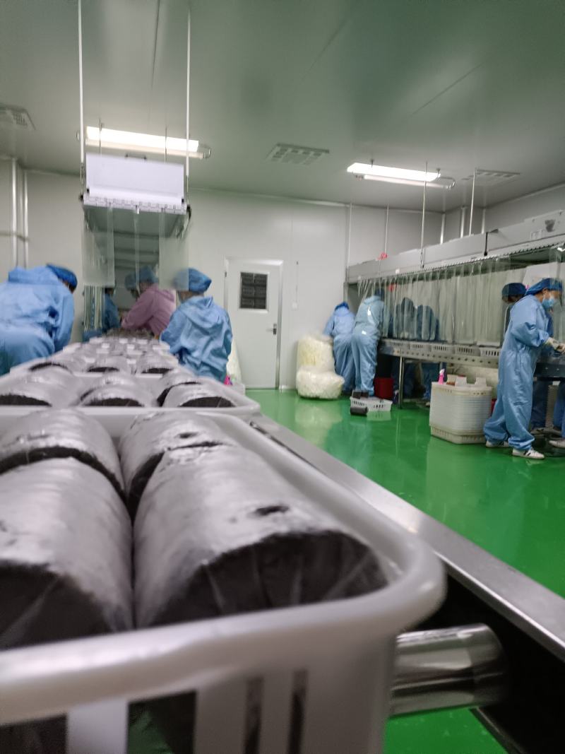 金耳菌源头厂家