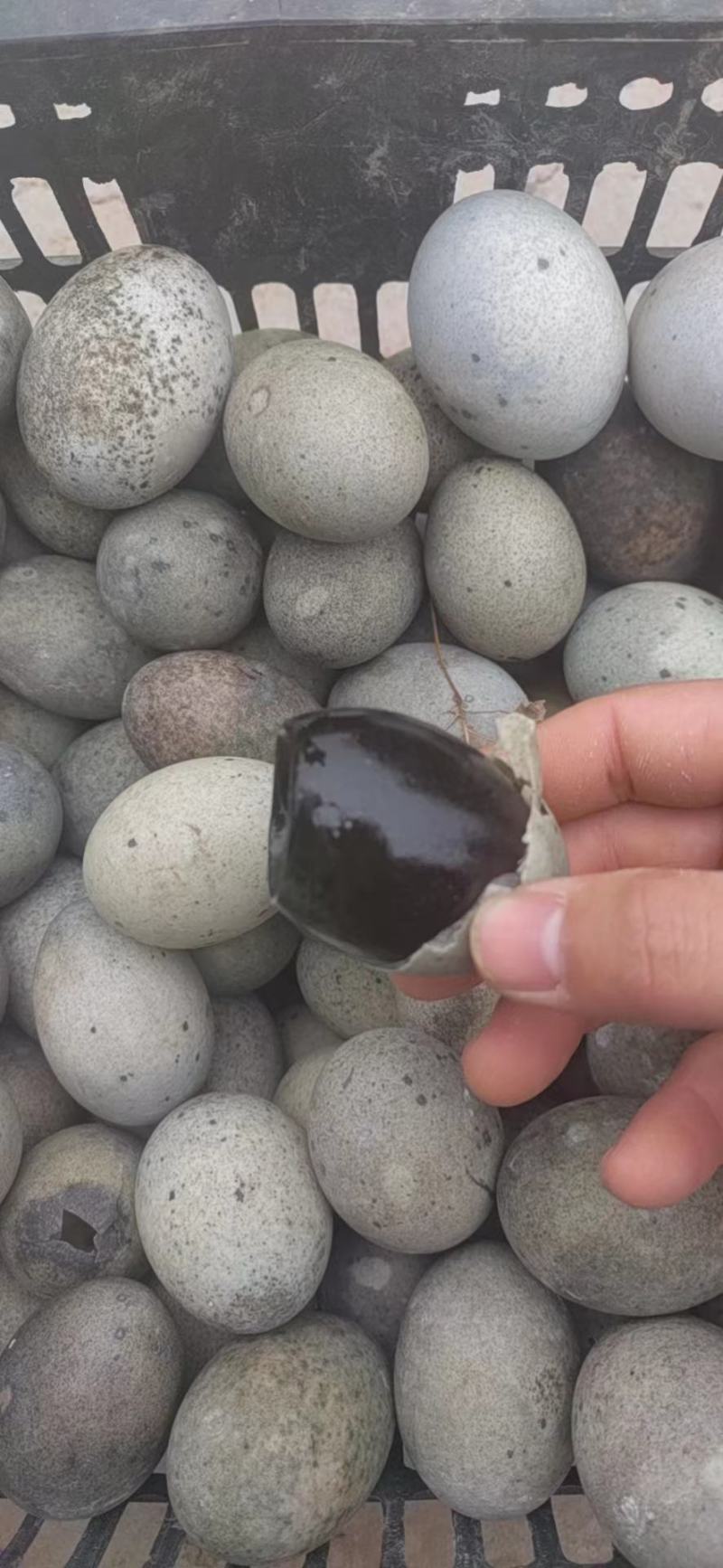 黑皮松花蛋