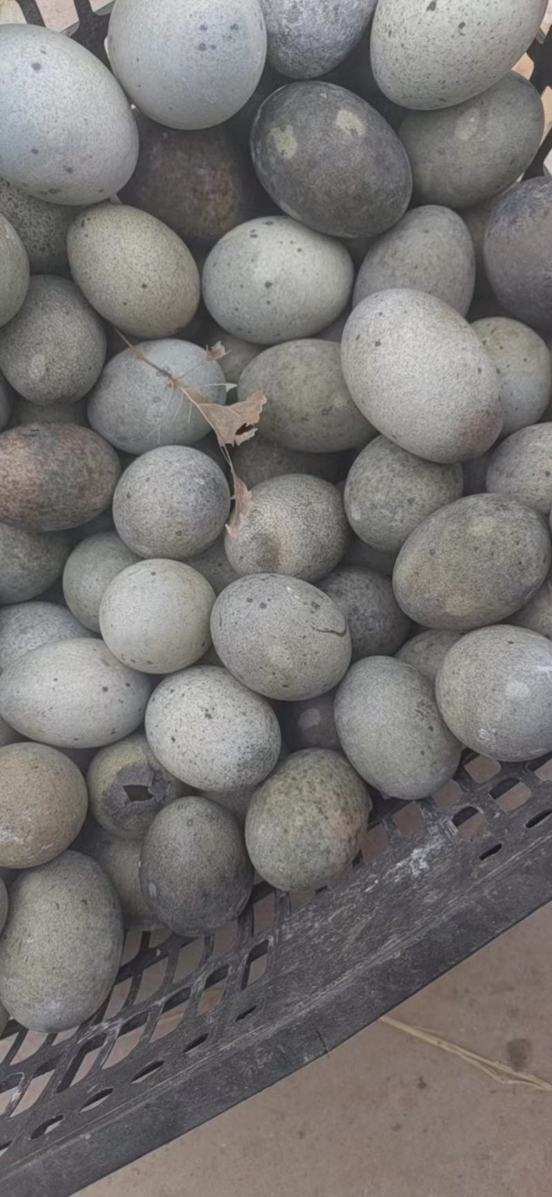 黑皮松花蛋
