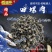 香滋来速冻食品冷冻田螺肉螺丝肉