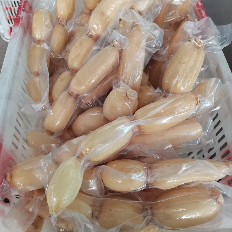 【品质保证】莲藕大量有货产地直发可视频看货