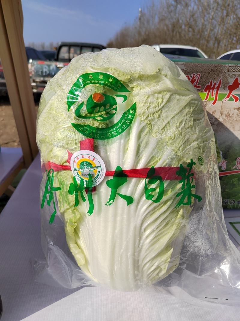 胶州大白菜（连续六年认证基地），黄心大白菜，全国供货。