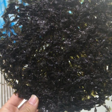 无沙紫菜厂家批发全国发货货源充足可以定制小包装