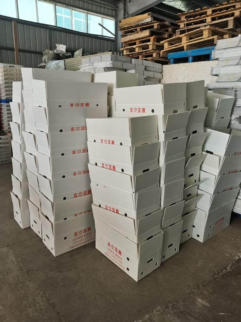 【品质保证】莲藕大量有货产地直发可视频看货