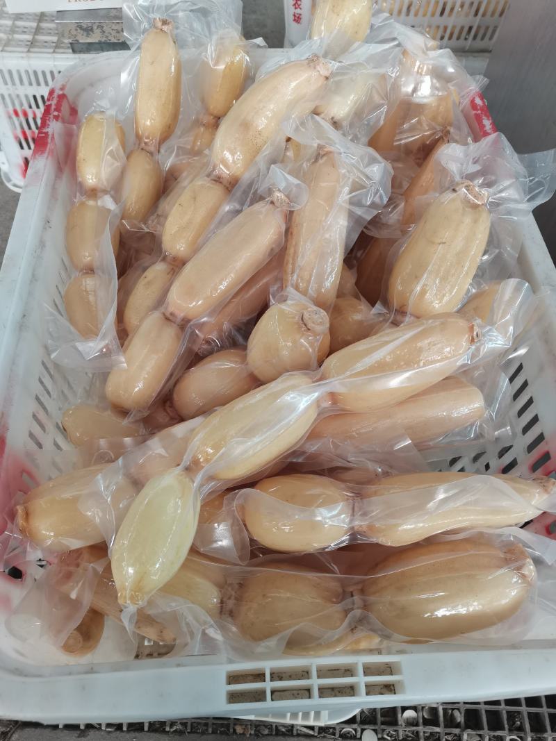 【品质保证】莲藕大量有货产地直发可视频看货