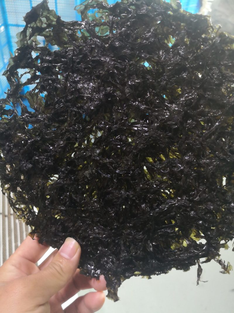 无沙紫菜厂家批发全国发货货源充足可以定制小包装