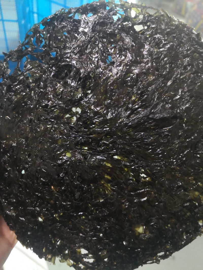 无沙紫菜厂家批发全国发货货源充足可以定制小包装