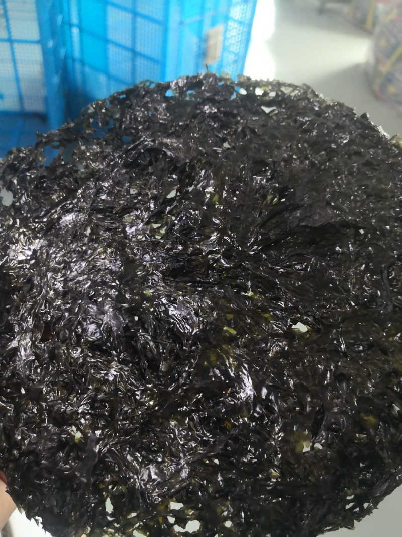 无沙紫菜厂家批发全国发货货源充足可以定制小包装