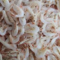 长年批发各种海产品干货，虾皮，海米，鳞虾，红虾，大虾，鱼