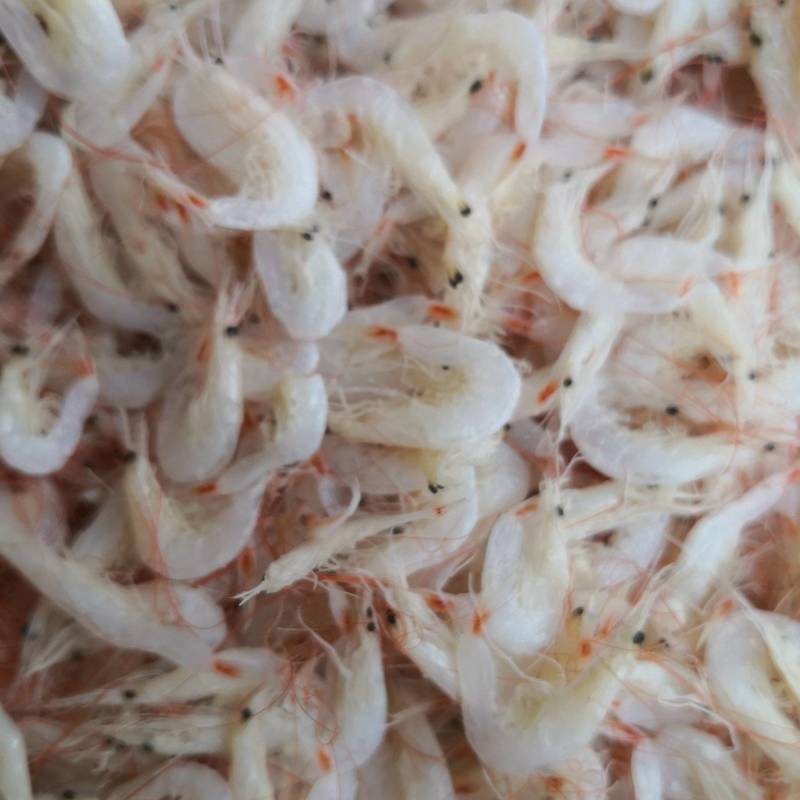 长年批发各种海产品干货虾皮