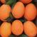 脐橙，果园看货，果园直发，品种齐全，保质保量，依质论价