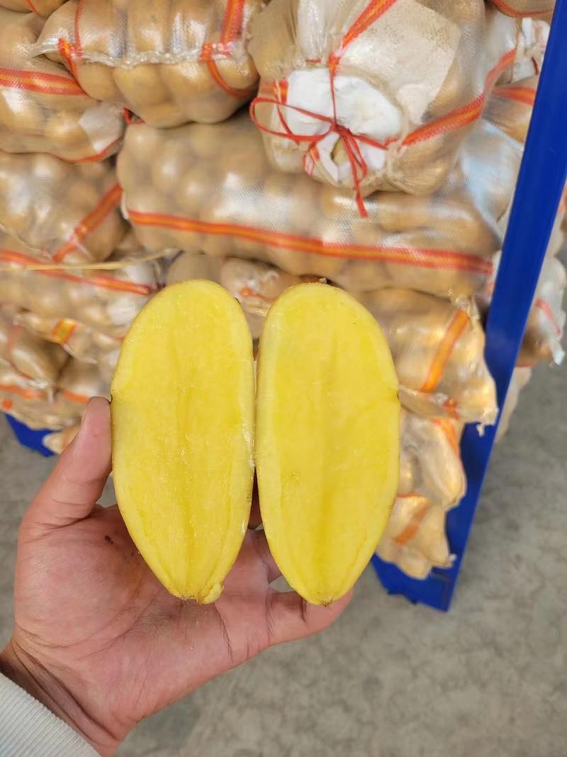 精品黄心土豆大量供应！产地直发质量保障欢迎咨询