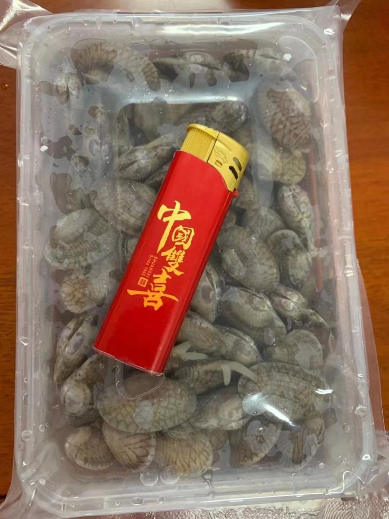 新鲜活批发花甲当日花蛤蜊蚬子无沙文蛤海鲜贝