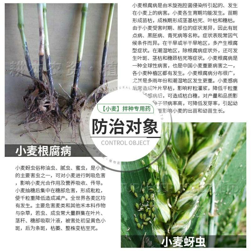一农靓彩12%苯醚·咯·噻虫蚜虫小麦拌种剂种衣剂杀虫剂