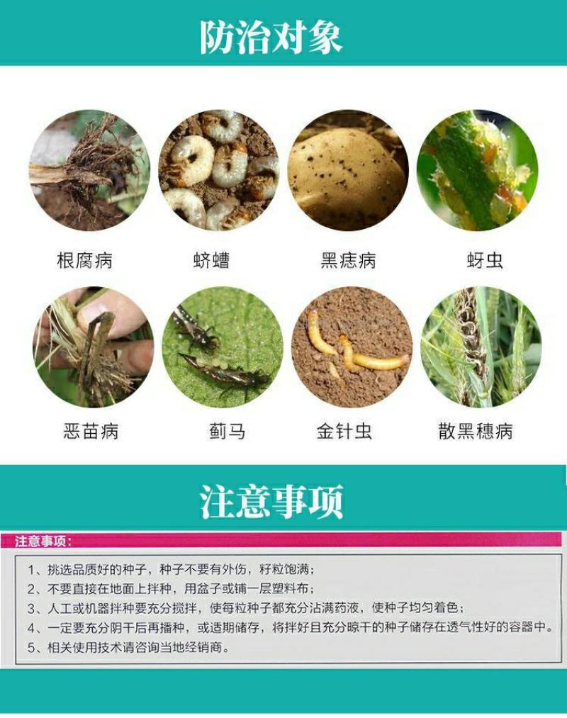 一农靓彩12%苯醚·咯·噻虫蚜虫小麦拌种剂种衣剂杀虫剂