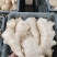 优选大黄姜产地直发一手货源商超品质货源充足