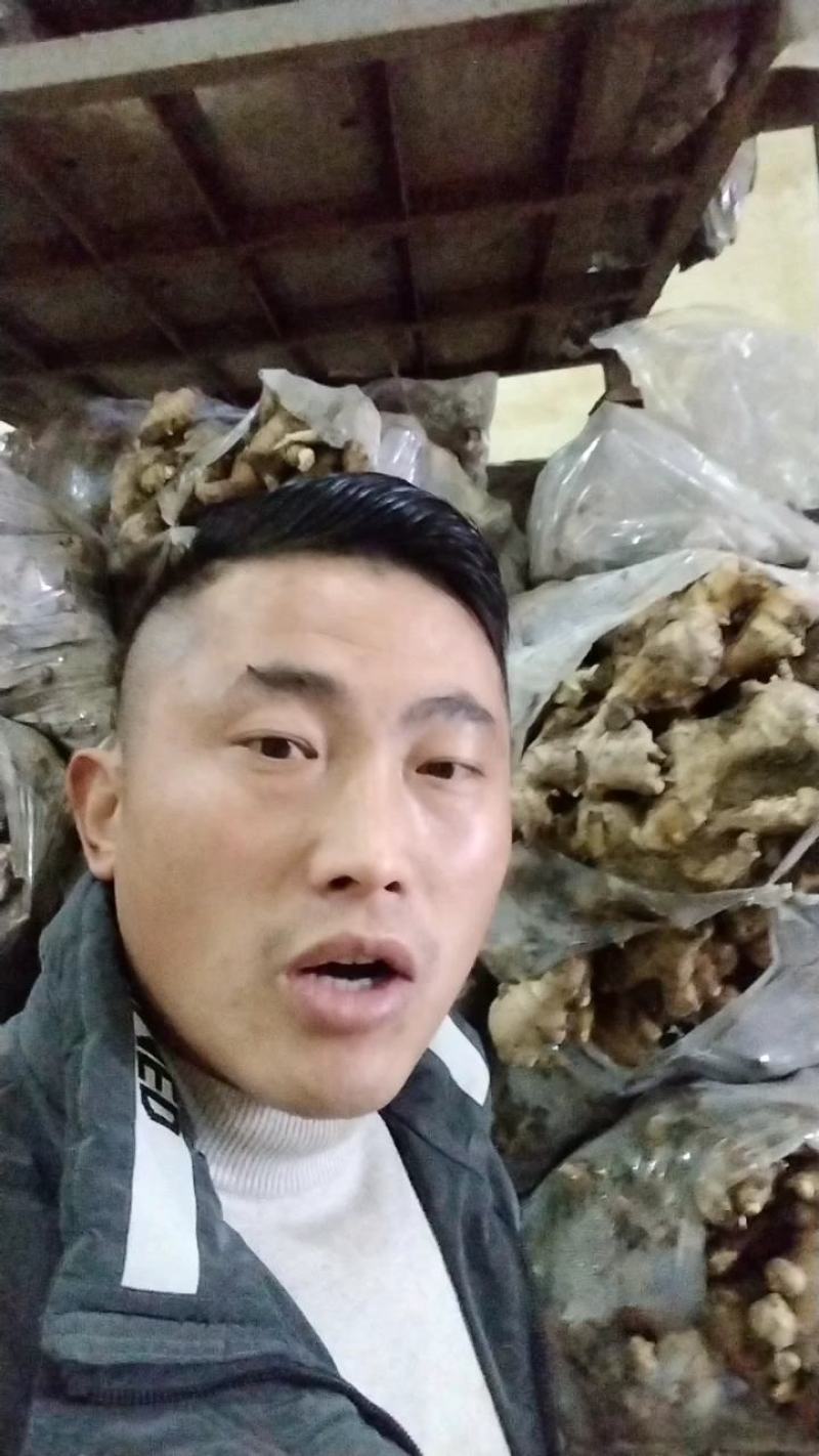 优选大黄姜产地直发一手货源商超品质货源充足