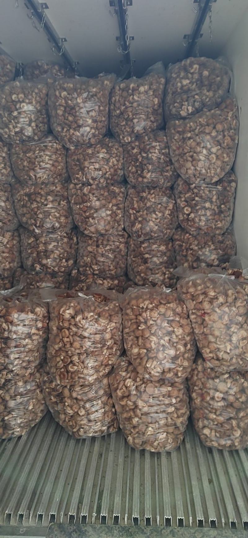 河北邢台加工厂开伞菜菇赶集鲜香菇基地直发量大从优