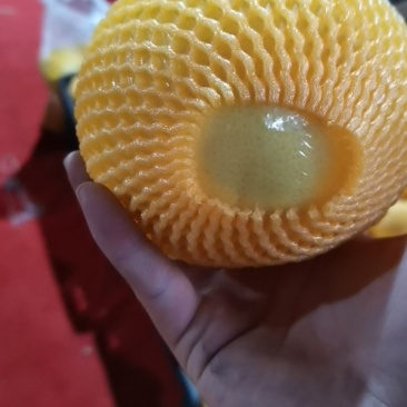 葡萄柚平和县
