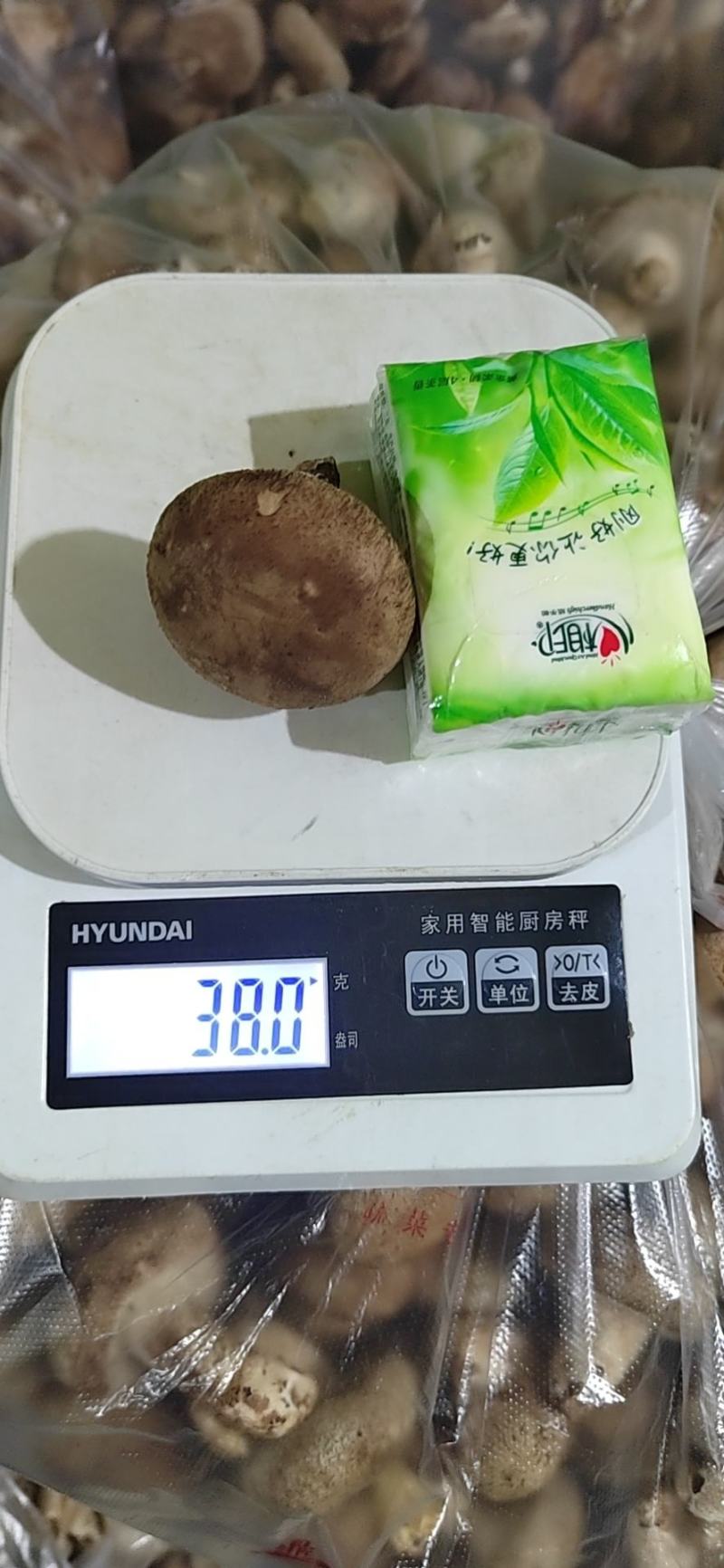 供应全国各地电商平台鲜香菇3-5公分不开伞加工厂可深加