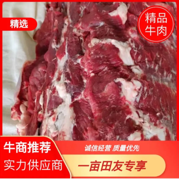 鲜牛肉山东清真国产纯鲜牛肉纯自家货源品质保证诚信经营