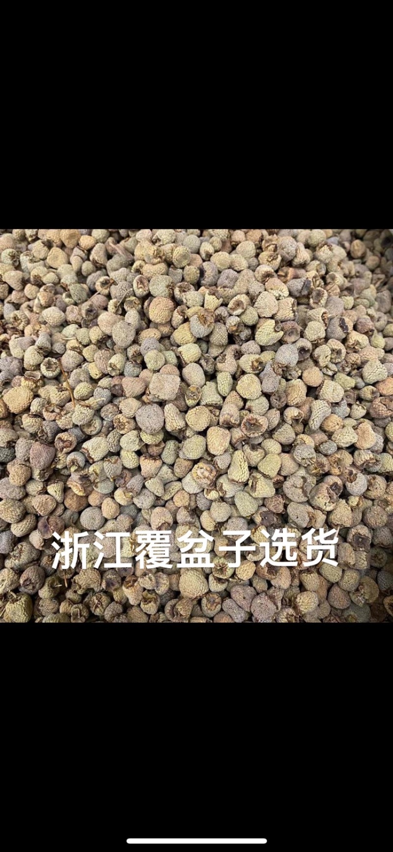 覆盆子新货大粒覆盆子野生覆盆子一公斤起批