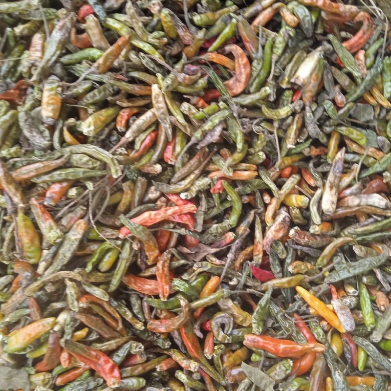 青辣椒干辣新一代三英高辣