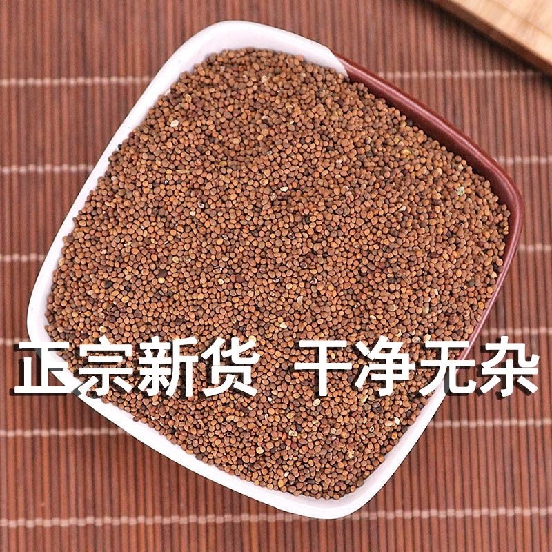 菟丝子中药材内蒙水洗菟丝子各种规格一公斤起批