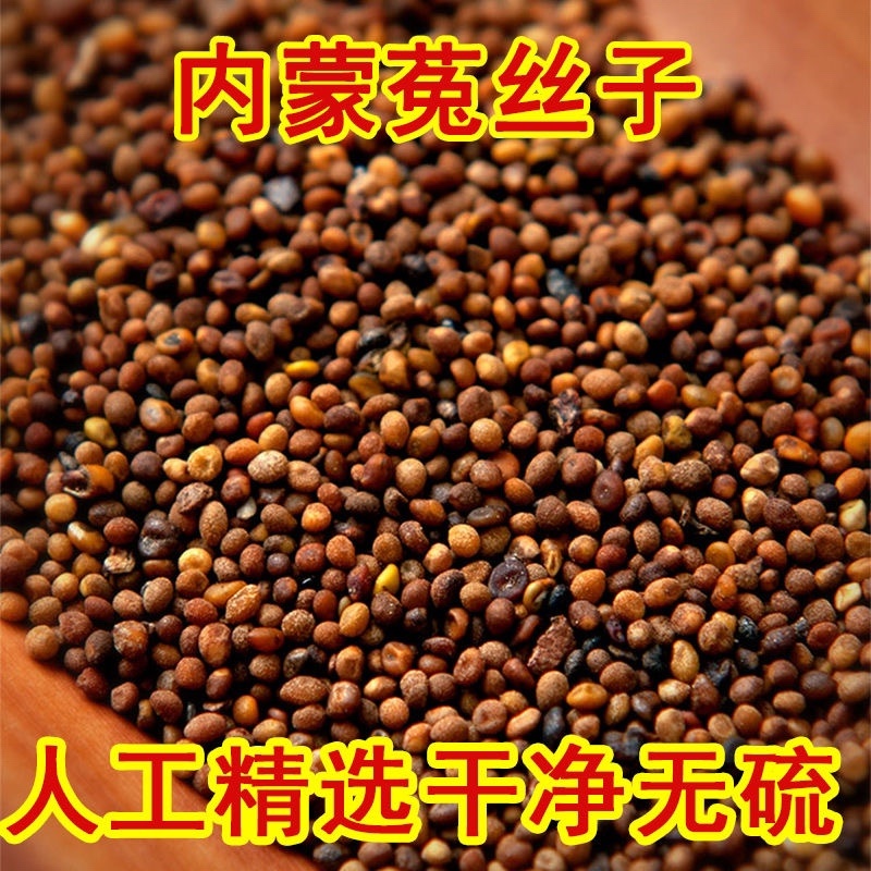 菟丝子中药材内蒙水洗菟丝子各种规格一公斤起批