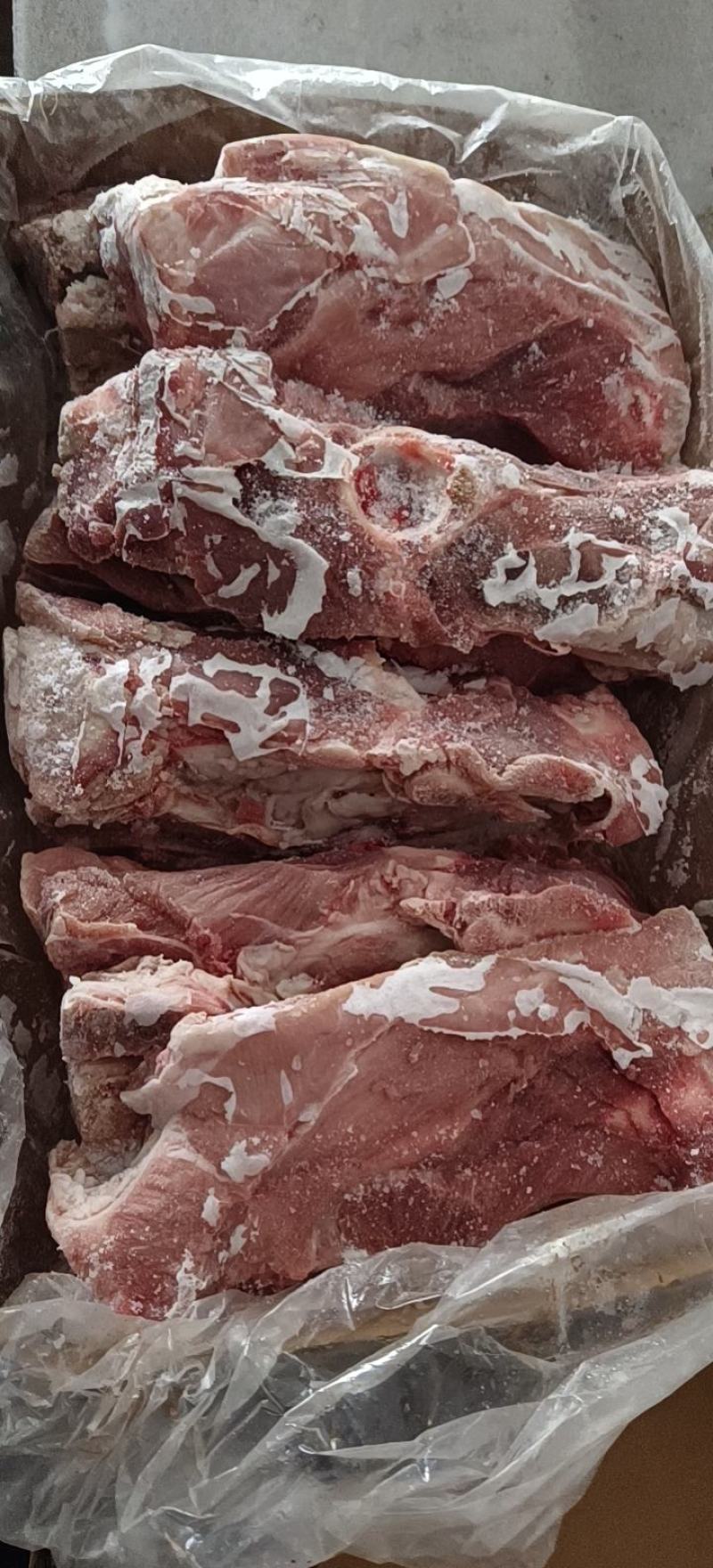 多肉尾叉骨6-7-8根装新货新开物美价廉今日特价