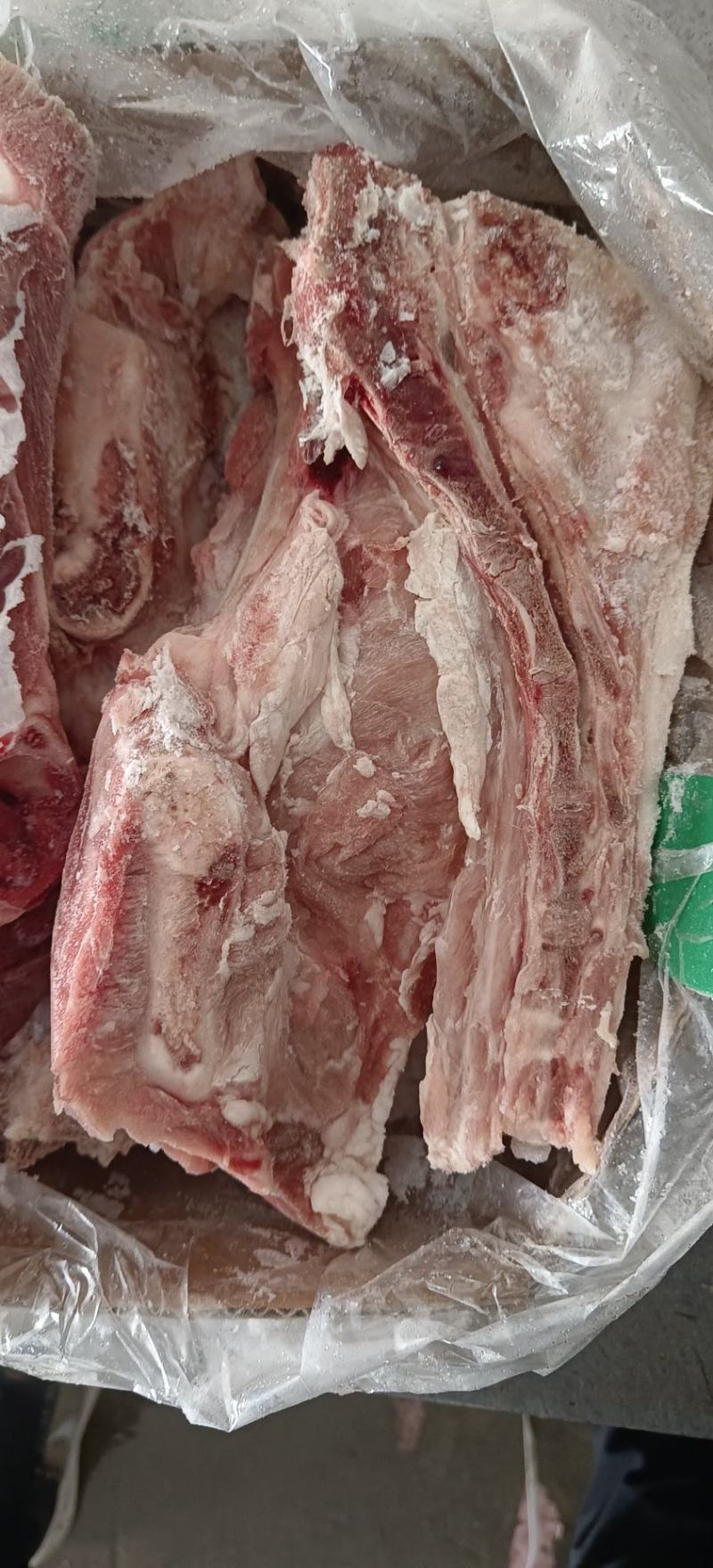 多肉尾叉骨6-7-8根装新货新开物美价廉今日特价