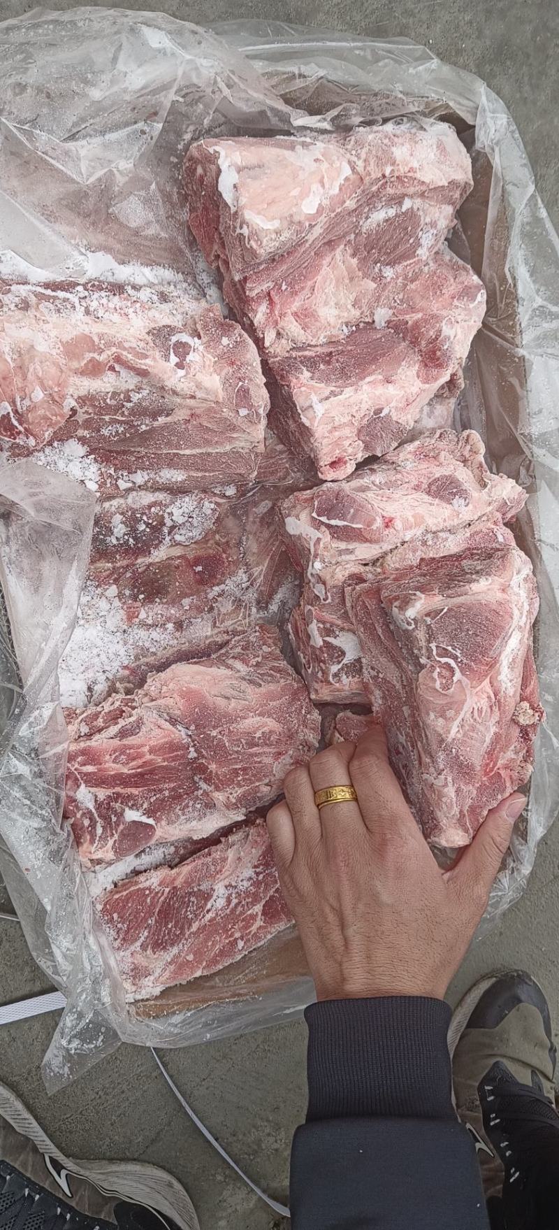 多肉尾叉骨6-7-8根装新货新开物美价廉今日特价