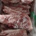 多肉尾叉骨6-7-8根装新货新开物美价廉今日特价
