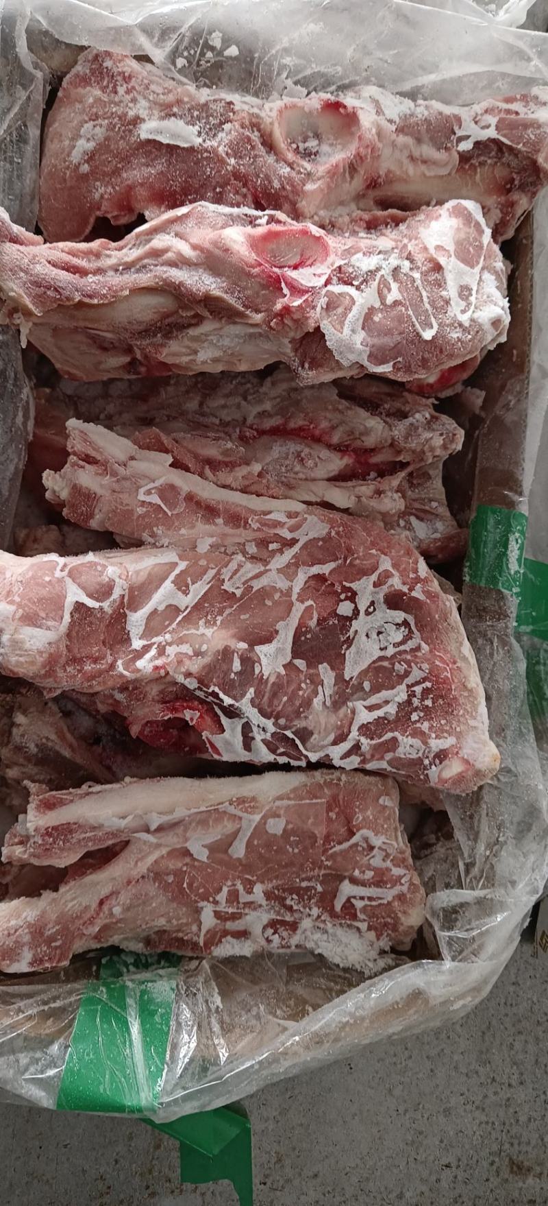 多肉尾叉骨6-7-8根装新货新开物美价廉今日特价