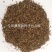新采收紫薇种子籽紫薇花紫薇树种子火球红红火箭紫薇种子多年