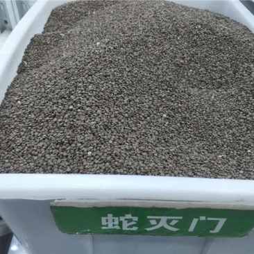 蛇灭门种子驱虫驱蚊草花种籽庭院阳台盆栽花卉四季易种望江南
