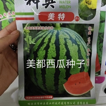 美特美都西瓜种子32天成熟大果型皮薄口感好产量高多茬采收